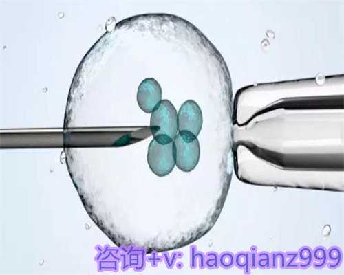 武汉供卵助孕生双胞胎，广州 供卵 试管