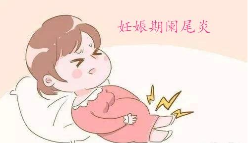 广州供卵试管代孕公司-广州世纪代孕价格表