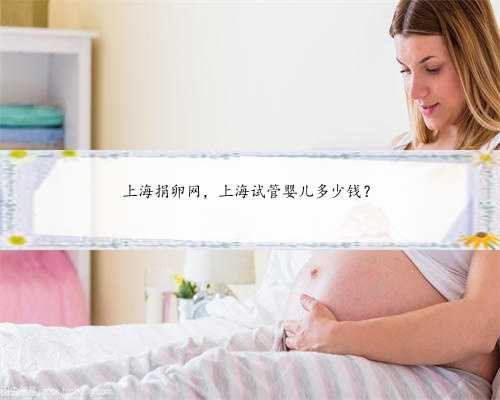上海捐卵网，上海试管婴儿多少钱？