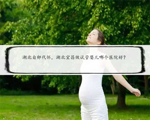 湖北自卵代怀，湖北宜昌做试管婴儿哪个医院好？