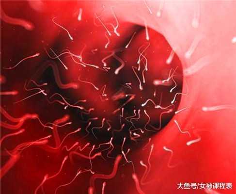 武汉捐卵网-卵泡不破需查激素六项B超监测方可对症治疗_1