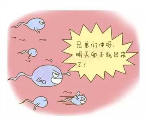试管怎样捐卵~广州供卵试管第三代试管婴儿之助力IVF好孕建议_1