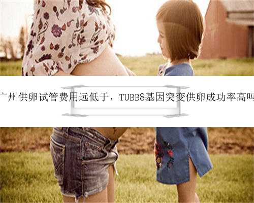 广州供卵试管费用远低于，TUBB8基因突变供卵成功率高吗