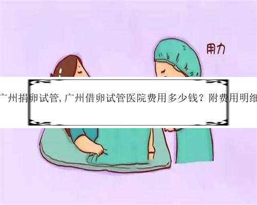 广州捐卵试管,广州借卵试管医院费用多少钱？附费用明细